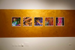 Exposicion Sacred Place de Alfonso Crujera