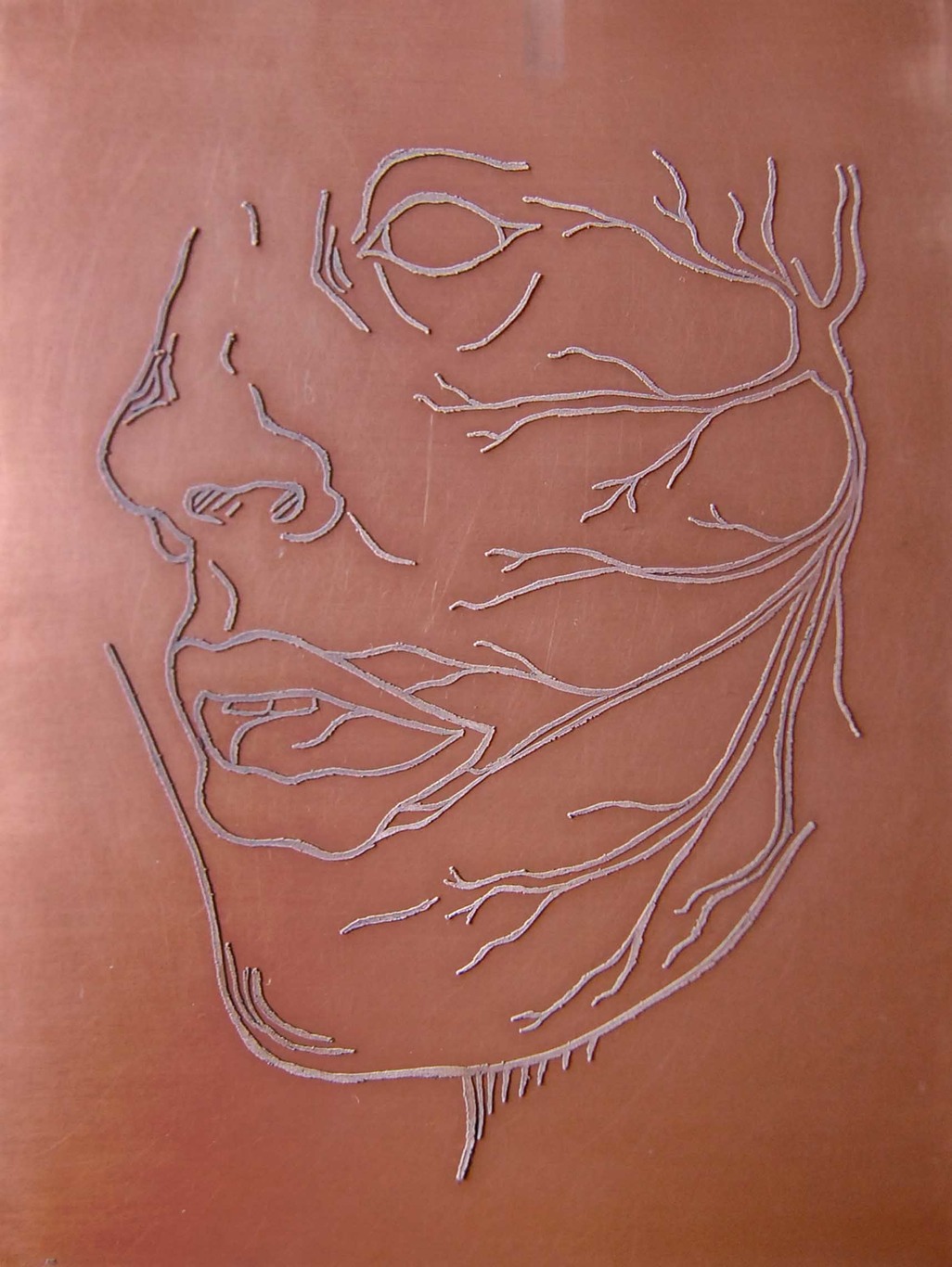 160 Galvanised lines Luvier Casali