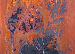 185-Detail-of-the-galvanisation-40-mins-copia