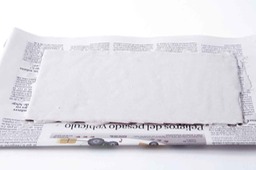 194-The-back-of-the-plate-covered-copia