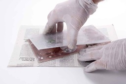 197-separating-the-mould-copia